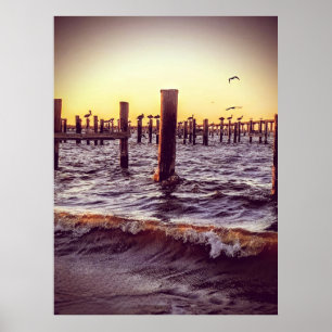 Pelicans in the Bay Poster