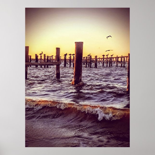Pelicans in the Bay Poster (Front)