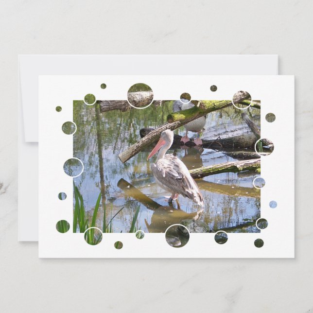 PELICANS INVITATION (Front)