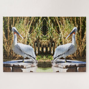 Pelicans Jigsaw Puzzle