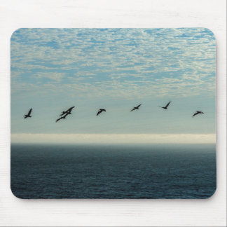 Pelicans Mouse Mat