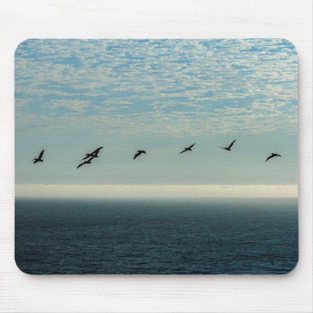 Pelicans Mouse Mat (Front)