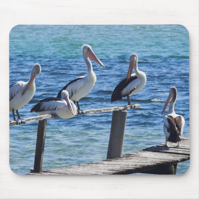 Pelicans Mouse Mat (Front)