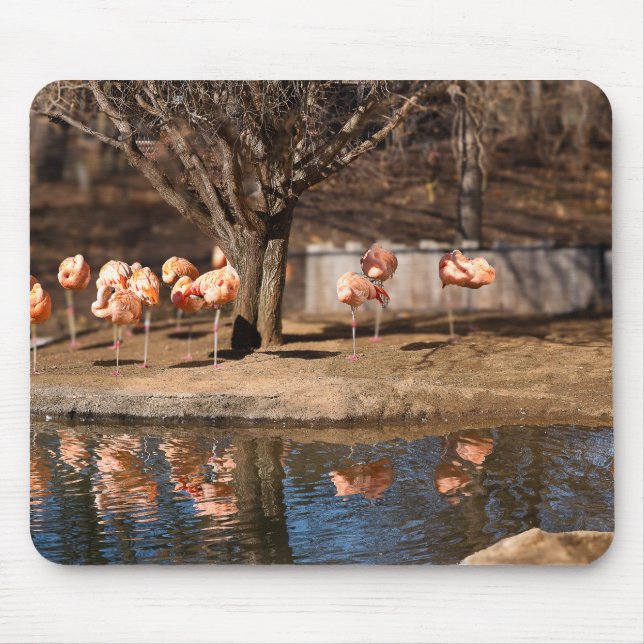 Pelicans Mouse Pad (Front)