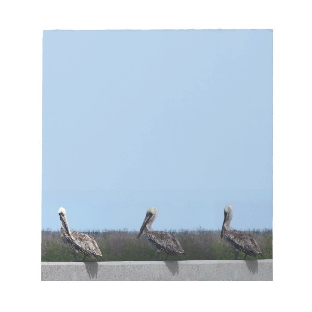 Pelicans Notepad (Front)