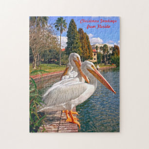 Pelicans of  Florida. Jigsaw Puzzle