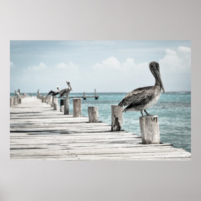 Pelicans on a Pier Poster (Front)
