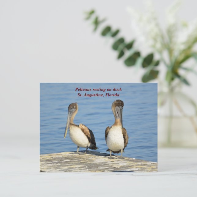 Pelicans on dock holiday postcard (Standing Front)