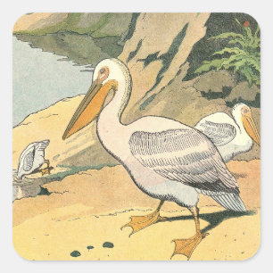 Pelicans on the Beach Illustrated Square Sticker