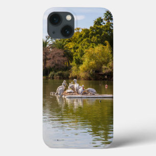 Pelicans on the Lake at the Phoenix Zoo iPhone 13 Case