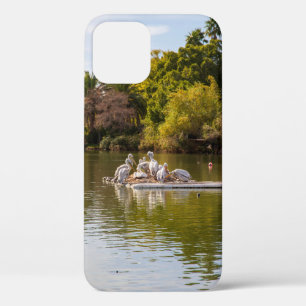Pelicans on the Lake at the Phoenix Zoo  iPhone 12 Case