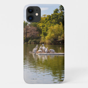 Pelicans on the Lake at the Phoenix Zoo iPhone 11 Case