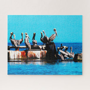 Pelicans on the shore, Jigsaw Puzzle