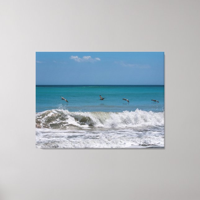 Pelicans over the Atlantic ocean Canvas Print (Front)