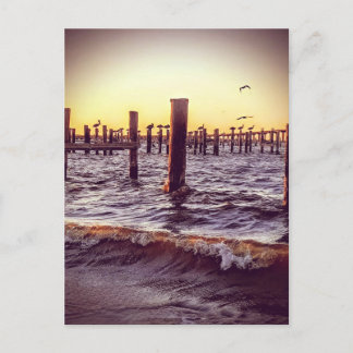Pelicans over the Bay at sunset Postcard