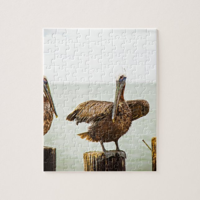 Pelicans perched on posts jigsaw puzzle (Vertical)