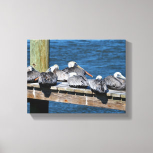 Pelicans resting on a dock canvas print