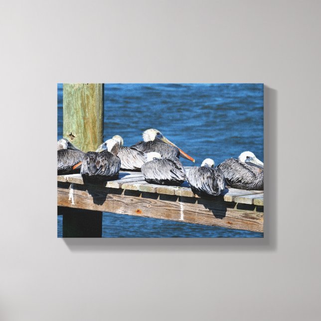 Pelicans resting on a dock canvas print (Front)