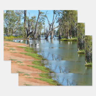 Pelicans Sunbaking River Murray, Gift Wrap Sheets