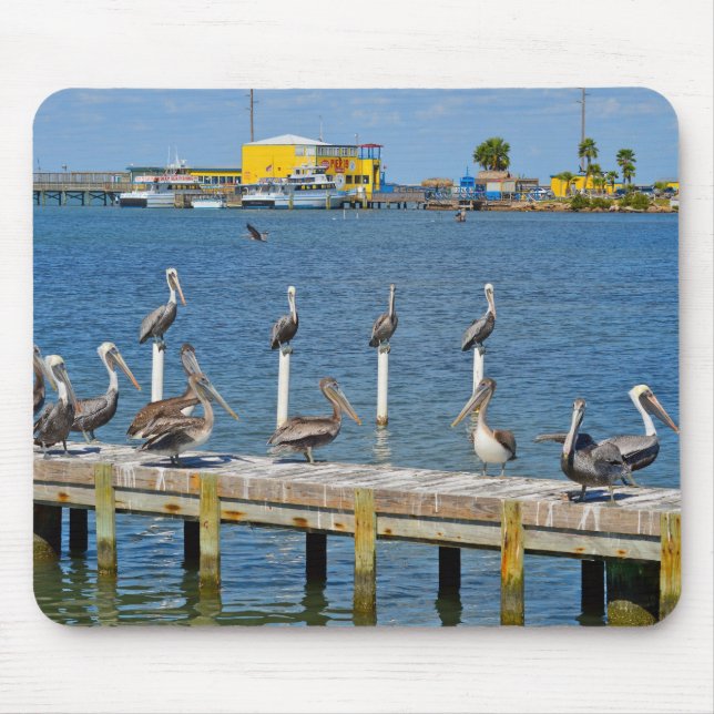 Pelicans Sunbathing Mouse Mat (Front)