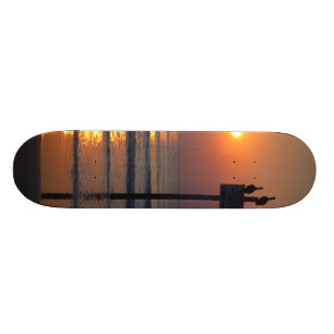 Pelicans Sunrise Ocean Daytona Beach FL Skateboard