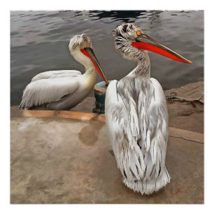 Pelicans - The Grey Twins Artistic Portrait Poster
