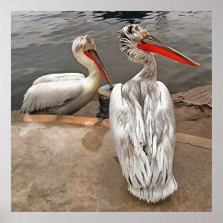 Pelicans - The Grey Twins Artistic Portrait Poster
