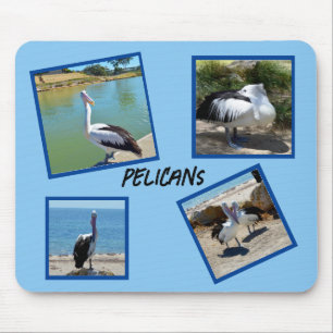 Pelicans The World Coolest Bird Four Photo Frames, Mouse Mat