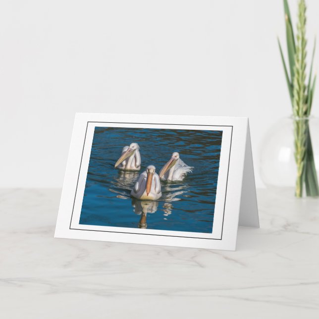 Pelicans up close greeting card (Front)
