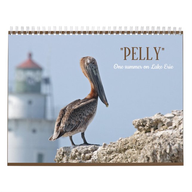 "Pelly - One Summer on Lake Erie" Wall Calendar (Cover)