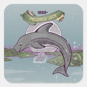 Pelorus Jack Risso's Dolphin Square Sticker