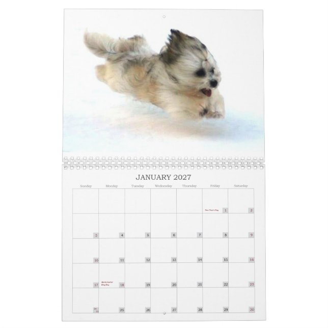 Peluito Havanese . 2011 Calendar (Jan 2027)