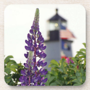 Pemaquid Lupin Coaster