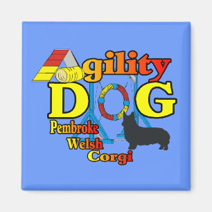 Pembroke Welsh Corgi Agility Shirts Gifts Magnet