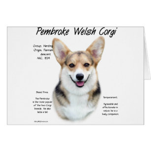 Pembroke Welsh Corgi History Design