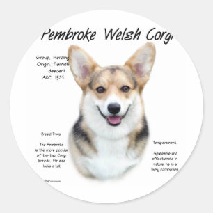 Pembroke Welsh Corgi History Design Classic Round Sticker