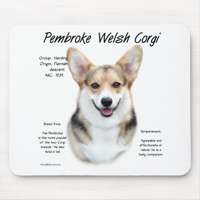 Pembroke Welsh Corgi History Design Mouse Mat (Front)