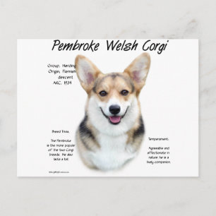 Pembroke Welsh Corgi History Design Postcard