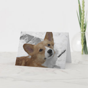 Pembroke Welsh Corgi in Snow Card