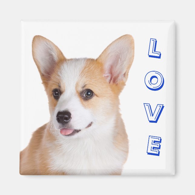 Pembroke Welsh Corgi Love Refrigerator Magnet (Front)