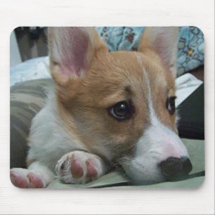 pembroke welsh corgi puppy 2 mouse mat