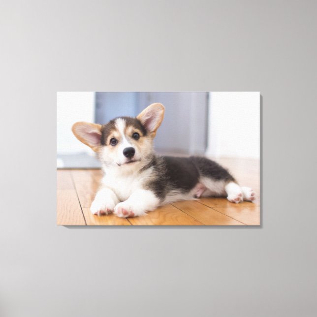 Pembroke Welsh Corgi Puppy Canvas Print (Front)