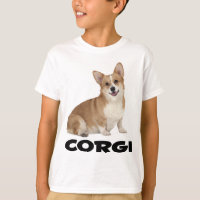 Pembroke Welsh Corgi Puppy Dog Boys