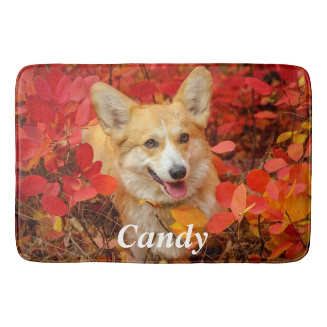 Pembroke Welsh Corgi Puppy Dog in Red Leaves Bath Mat (Front)