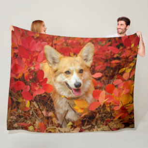 Pembroke Welsh Corgi Puppy Dog in Red Leaves Fleece Blanket
