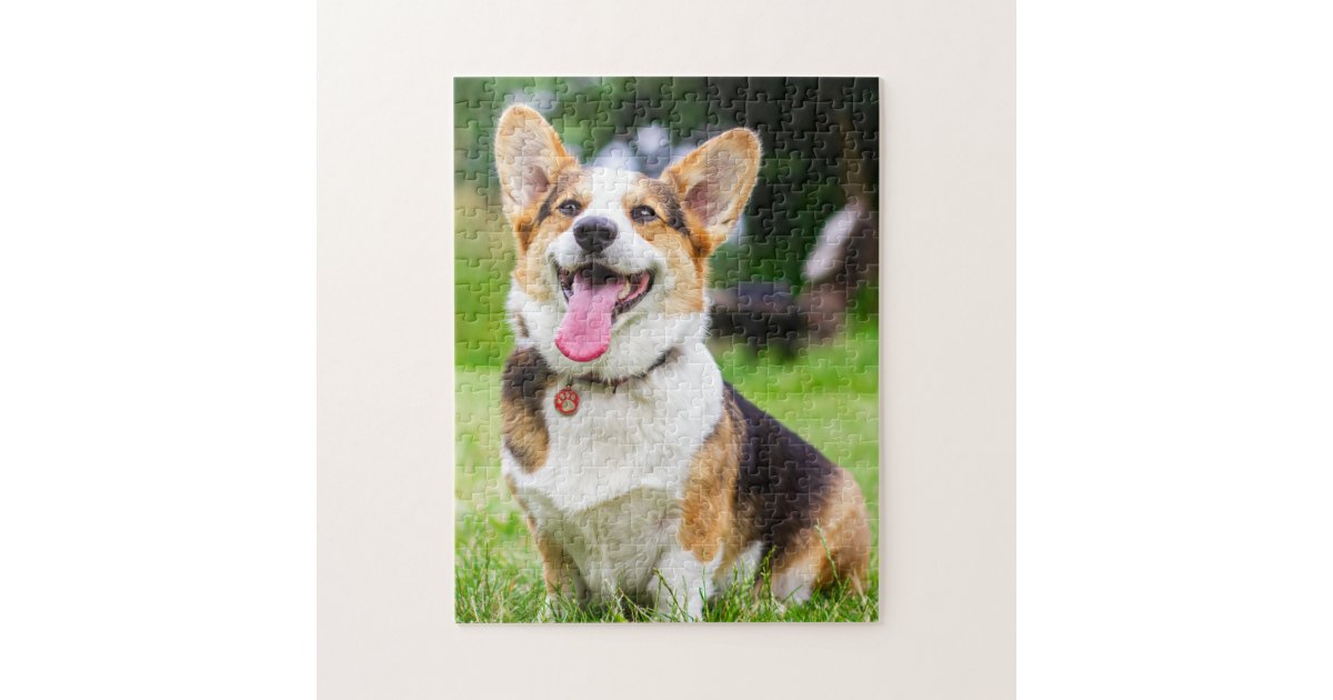 Pembroke Welsh Puppy Dog Jigsaw Puzzle Zazzle