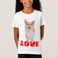 Pembroke Welsh Corgi Puppy Dog Red Love