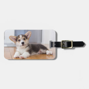 Pembroke Welsh Corgi Puppy Luggage Tag