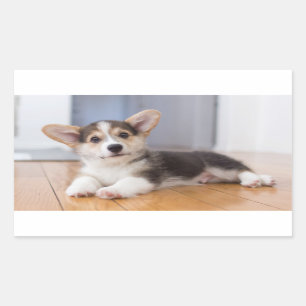 Pembroke Welsh Corgi Puppy Rectangular Sticker