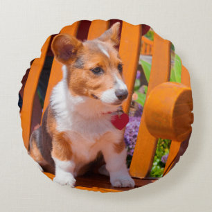 Pembroke Welsh Corgi puppy sitting in park bench Round Cushion